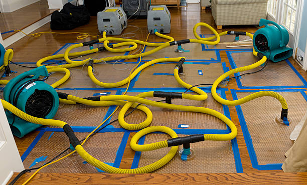 Professional Sewage Cleanup technician working in Burton, SC